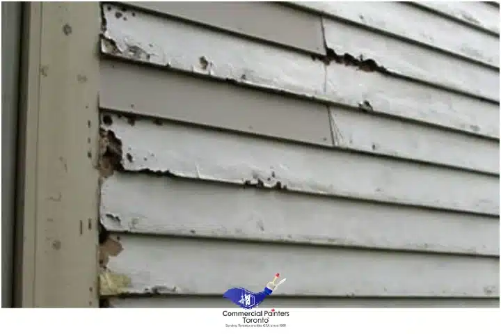 Cracked Rotted Siding